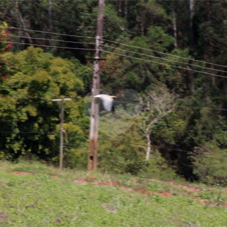 Sítio à venda com 8 quartos em Parque Rio Abaixo, Atibaia, SP