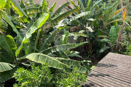 Terreno à venda em Santana, São Paulo, SP