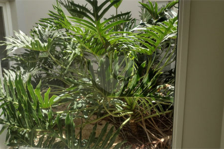 Casa à venda com 3 quartos, sendo 1 suíte, no condomínio Residencial Bouganville, Araraquara - SP