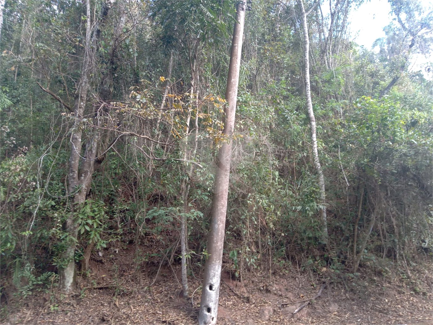 Terreno à venda no condomínio Sausalito, Mairiporã - SP