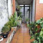 Terreno à venda em Vila Paulicéia, São Paulo, SP