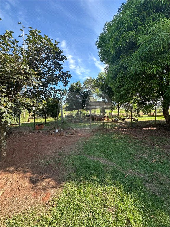Chácara à venda em Jardim Universitário, Ponta Porã, MS
