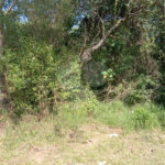 Terreno à venda em Saboó, São Roque, SP