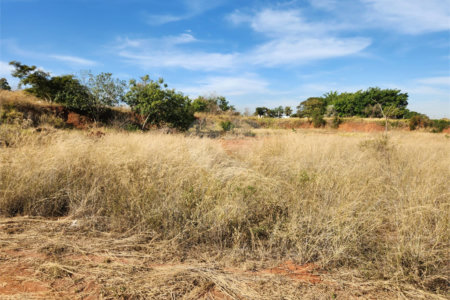 Área de Terra para alugar em Jardim Zavanella, Araraquara, SP