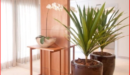 Apartamento à venda com 2 suítes em Jardim Monte Kemel, São Paulo, SP