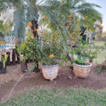Rancho com 12 dormitórios à venda, 63000 m² por R$ 7.500.000,00 - Condomínio Haras Paineiras - Salto/SP