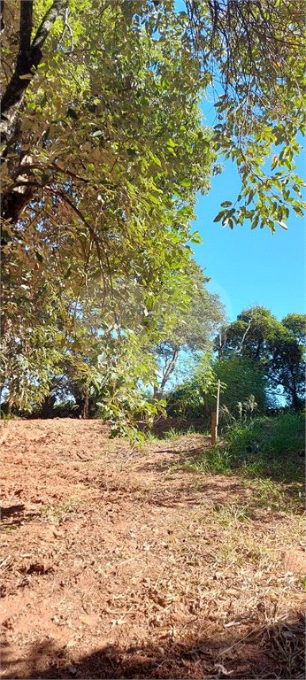 Terreno à venda em Vista Alegre, Vinhedo, SP