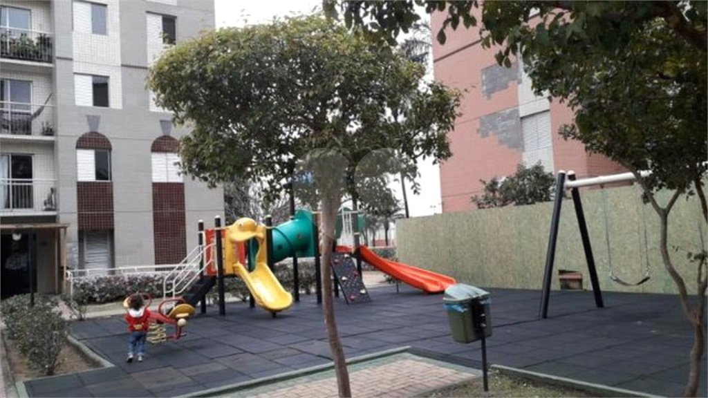 Apartamento à venda com 3 quartos, sendo 1 suíte, em Cambuci, São Paulo, SP