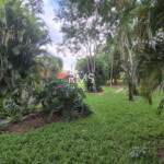 SÍTIO À VENDA EM ELIAS FAUSTO 21.900 m² - ÓTIMA TOPOGRAFIA E EXCELENTE LOCALIZAÇÃO