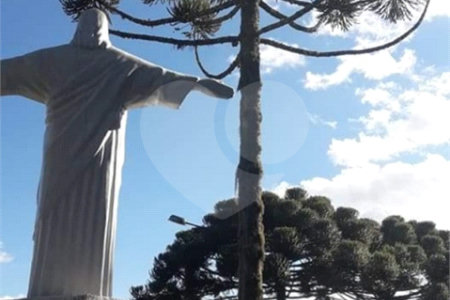 Chácara à venda com 8 quartos, sendo 3 suítes, no Centro, Toledo, MG