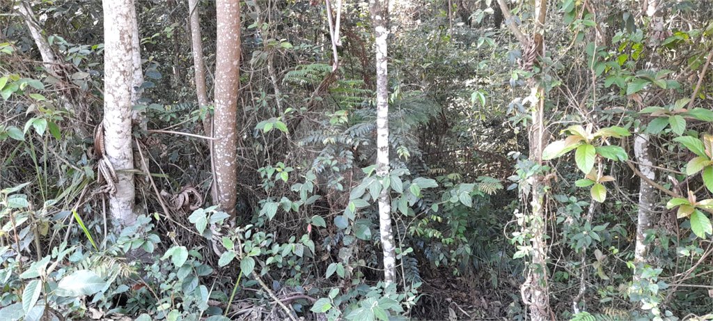 Terreno à venda em Roseira, Mairiporã, SP