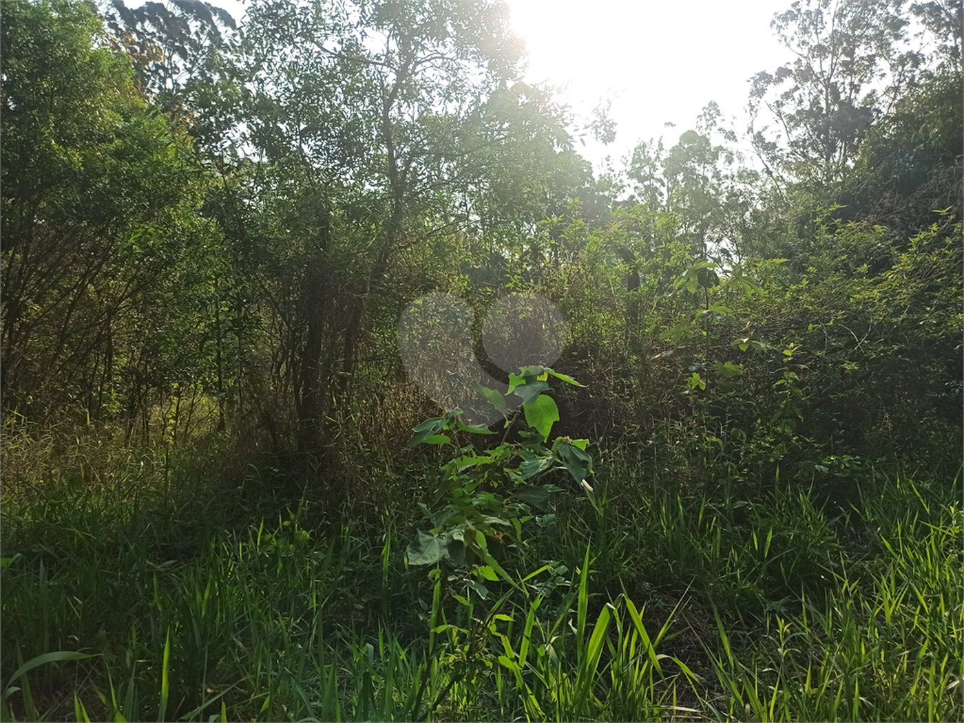 Terreno à venda em Bosque dos Eucalíptos, Atibaia, SP