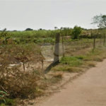 Área rural em Ibaté