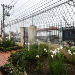Casa Térrea à venda com 2 quartos, sendo 1 suíte,  em Vila Morse, São Paulo, SP
