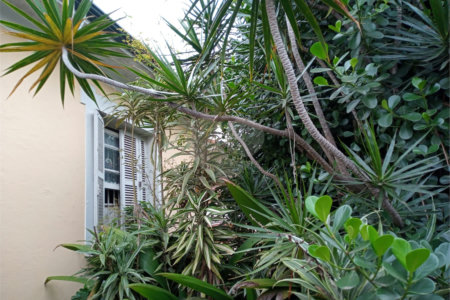Sobrado à venda com 3 quartos em Vila Maria Alta, São Paulo, SP