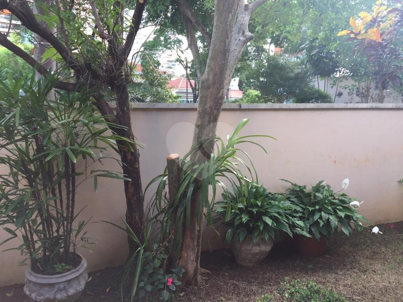Casa à venda com 3 quartos, sendo 1 suíte, em Santana, São Paulo, SP