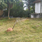 Terreno à venda em Tremembé, São Paulo, SP