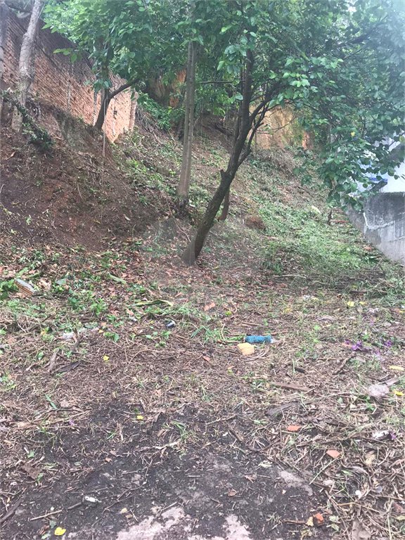 Terreno à venda em Vila Gustavo, São Paulo, SP