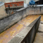 Sobrado à venda com 3 quartos em Água Fria, São Paulo, SP