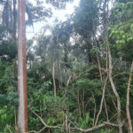 Condomínio à venda em Serra da Cantareira, Mairiporã, SP