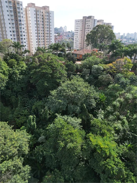 Terreno à venda em Paraisópolis, São Paulo, SP
