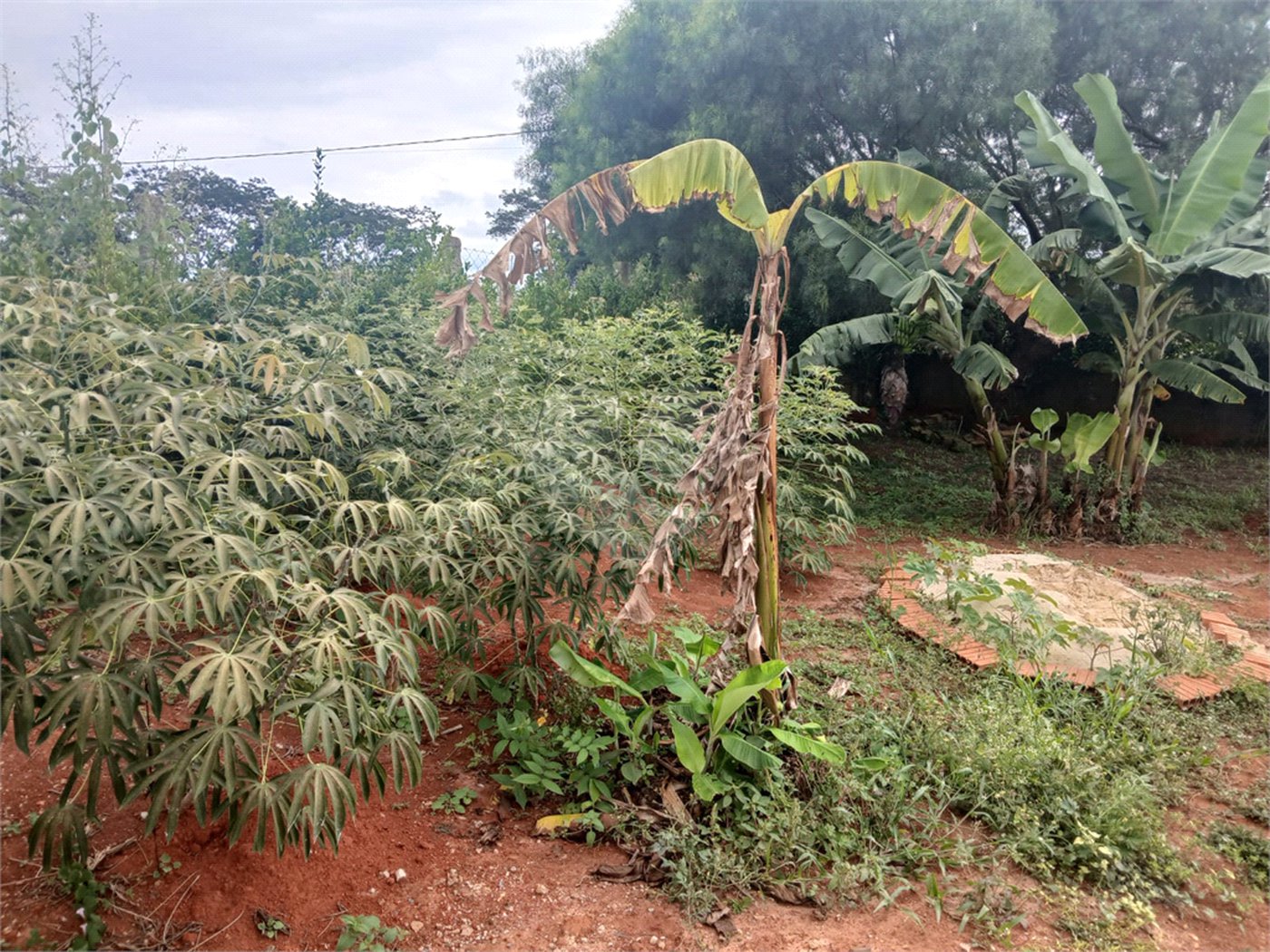 Chácara à venda com 2 suítes em Mato Seco, Itapetininga, SP