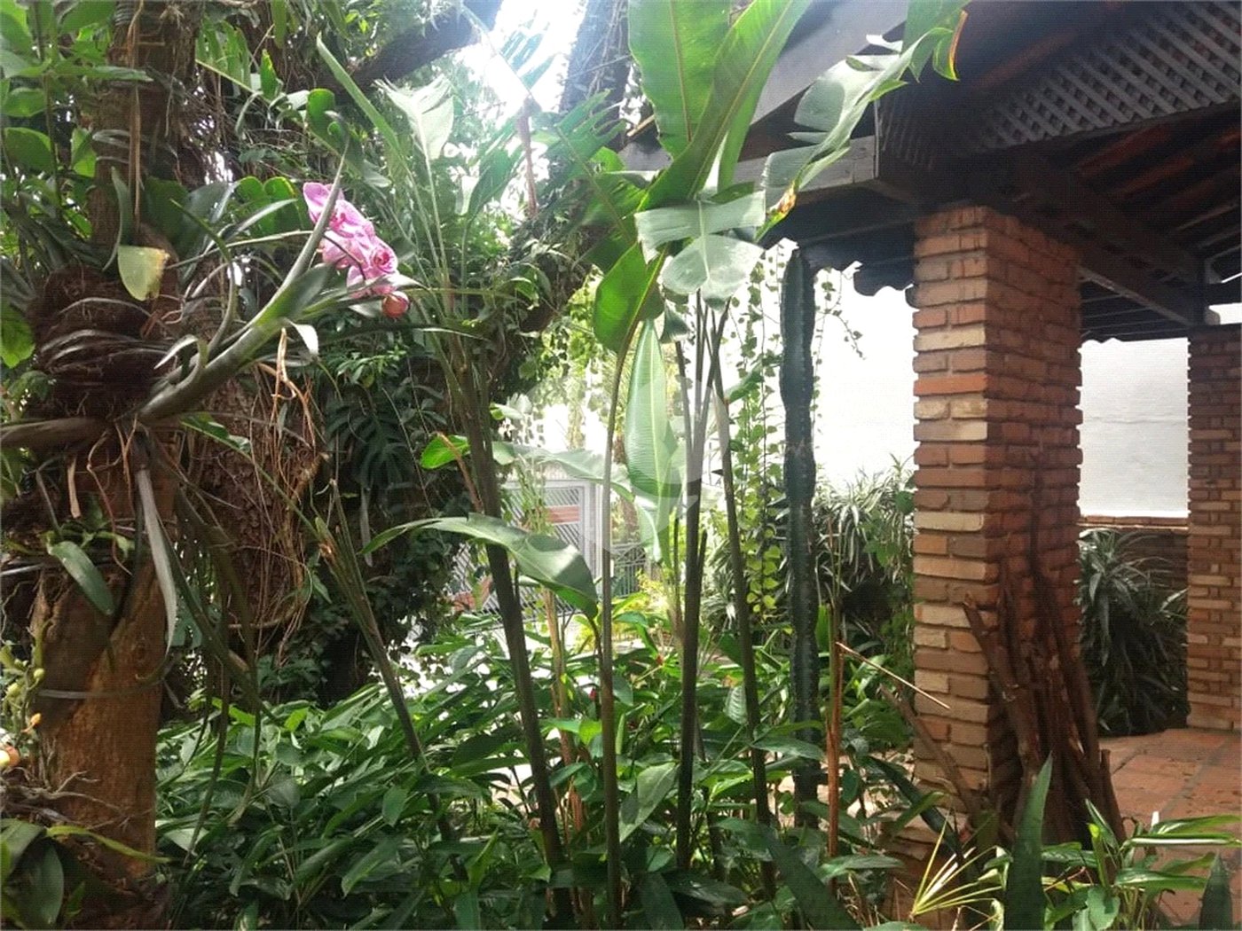 Casa à venda com 3 quartos, sendo 1 suíte, em Vila Cruzeiro, São Paulo, SP