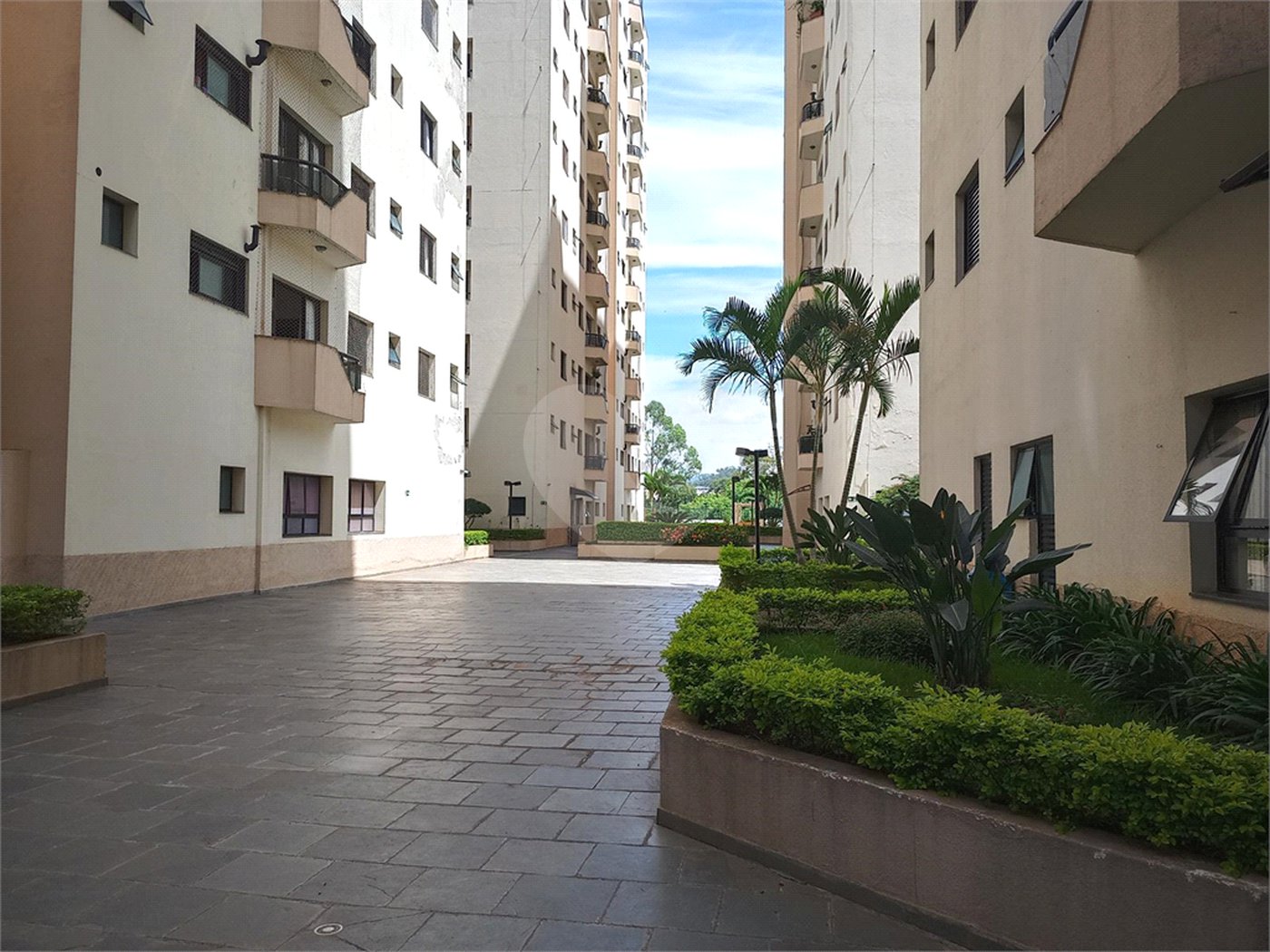 Apartamento à venda com 3 quartos, sendo 1 suíte, em Lauzane Paulista, São Paulo, SP