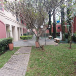 Apartamento à venda com 3 quartos em Mandaqui, São Paulo, SP