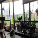 Apartamento à venda com 4 quartos, sendo 1 suíte, em Jardim Ampliação, São Paulo, SP