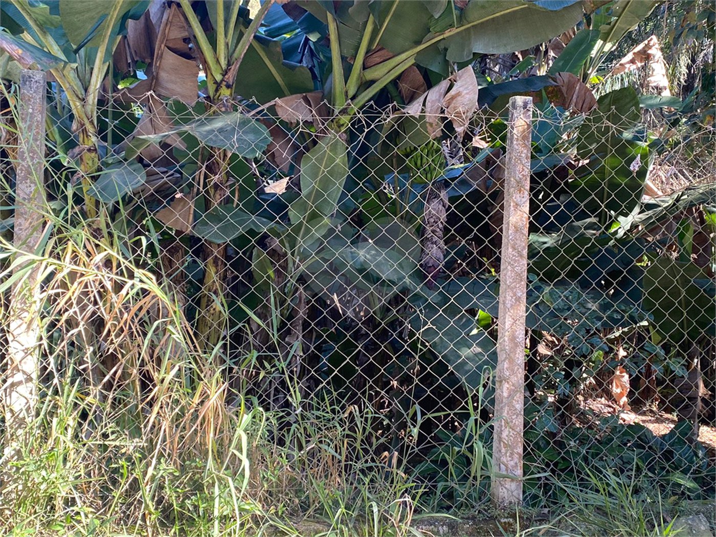 Terreno à venda em Luiz Fagundes, Mairiporã, SP