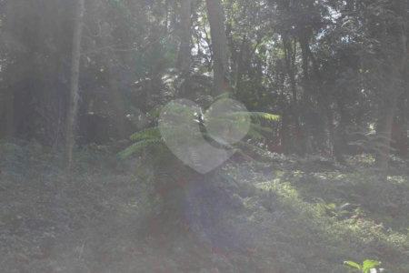 Terreno à venda no condomínio Chácara Flora, São Paulo - SP