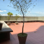 Apartamento à venda com 3 quartos, sendo 1 suíte,  em Vila Romana, São Paulo, SP