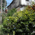 Terreno à venda com 1 suíte em Vila Nivi, São Paulo, SP