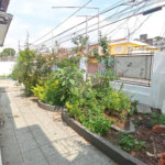 Terreno à venda ou para alugar com 3 quartos em Tucuruvi, São Paulo, SP