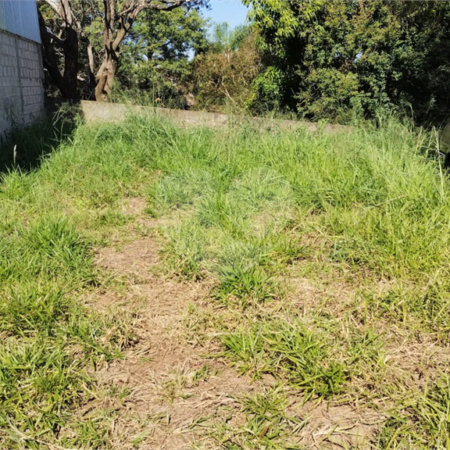 Terreno à venda com 1 suíte no condomínio Lenheiro, Valinhos - SP