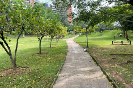 Cobertura à venda com 3 suítes em Jardim Vitória Régia, São Paulo, SP