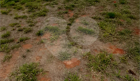 Área de Terra à venda no Centro, Bom Jesus dos Perdões, SP