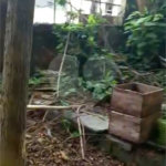 Terreno à venda com 1 quarto em Chora Menino, São Paulo, SP