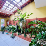 Sobrado à venda com 4 quartos, sendo 1 suíte, em Vila Gilda, Santo André, SP