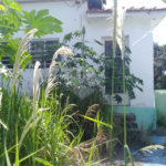 Terreno à venda em Tucuruvi, São Paulo, SP