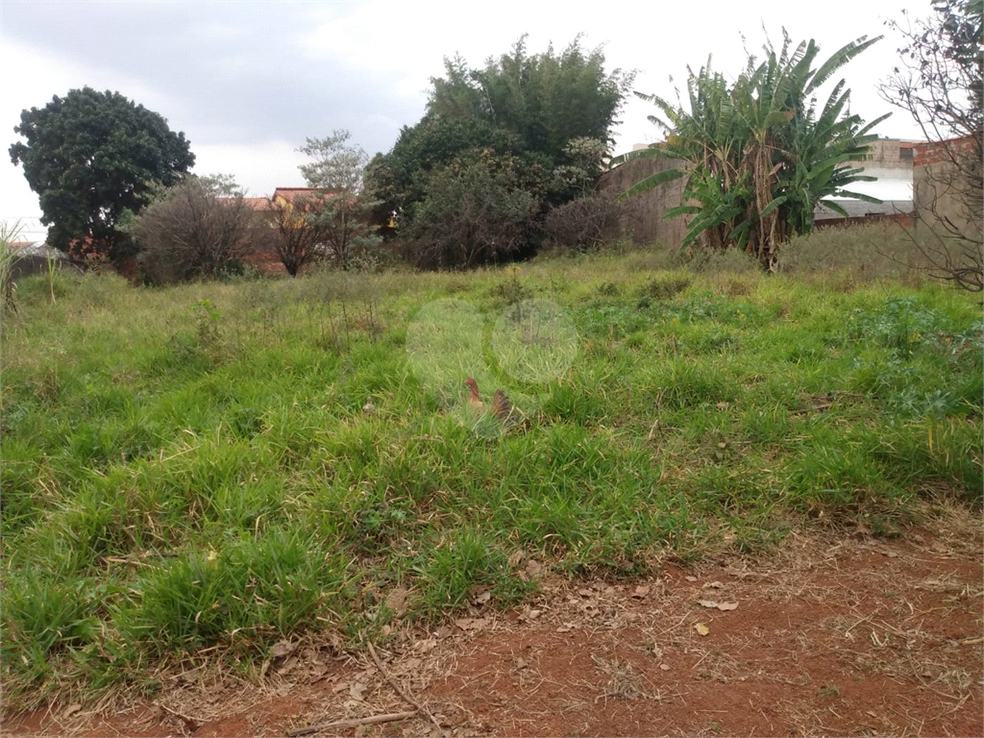 Terreno à venda em Vila Judite, Itapetininga, SP