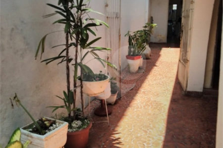 Casa Térrea à venda com 2 quartos em Vila Paulicéia, São Paulo, SP