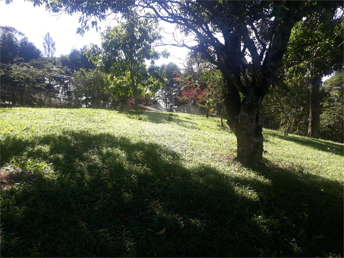 Chácara à venda com 3 quartos, sendo 2 suítes,  em Vila Darcy Penteado (mailasqui), São Roque, SP