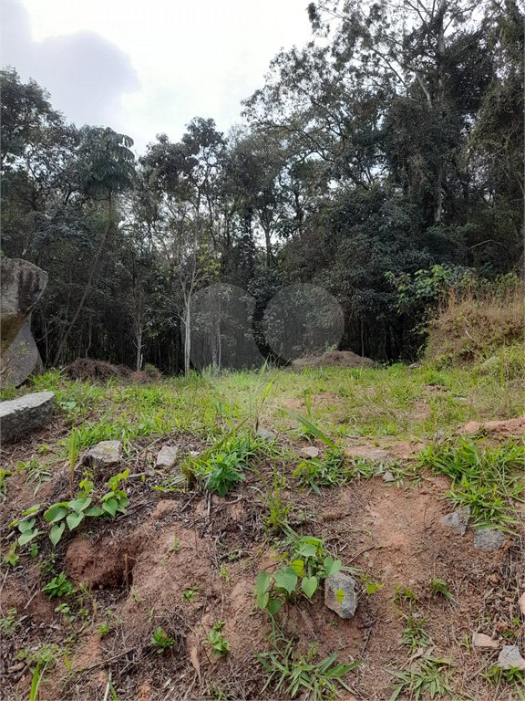 Terreno à venda no condomínio Itaguaçu da Cantareira, São Paulo - SP