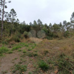 Terreno à venda em Vila Junqueira, São Roque, SP