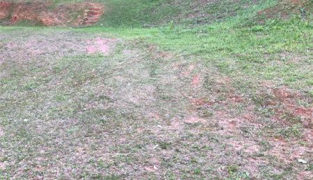 Terreno à venda em Horto, São Paulo, SP