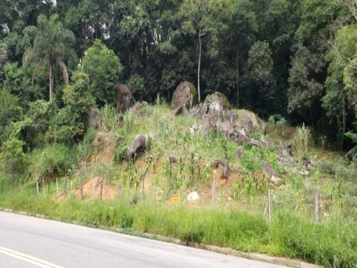 Terreno à venda em Horto, São Paulo, SP