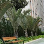 Apartamento à venda com 2 quartos, sendo 1 suíte, em Paraíso, São Paulo, SP