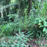 Terreno à venda no condomínio Gleba E2, Mairiporã - SP
